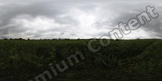 High Resolution Panorama Texture 0005